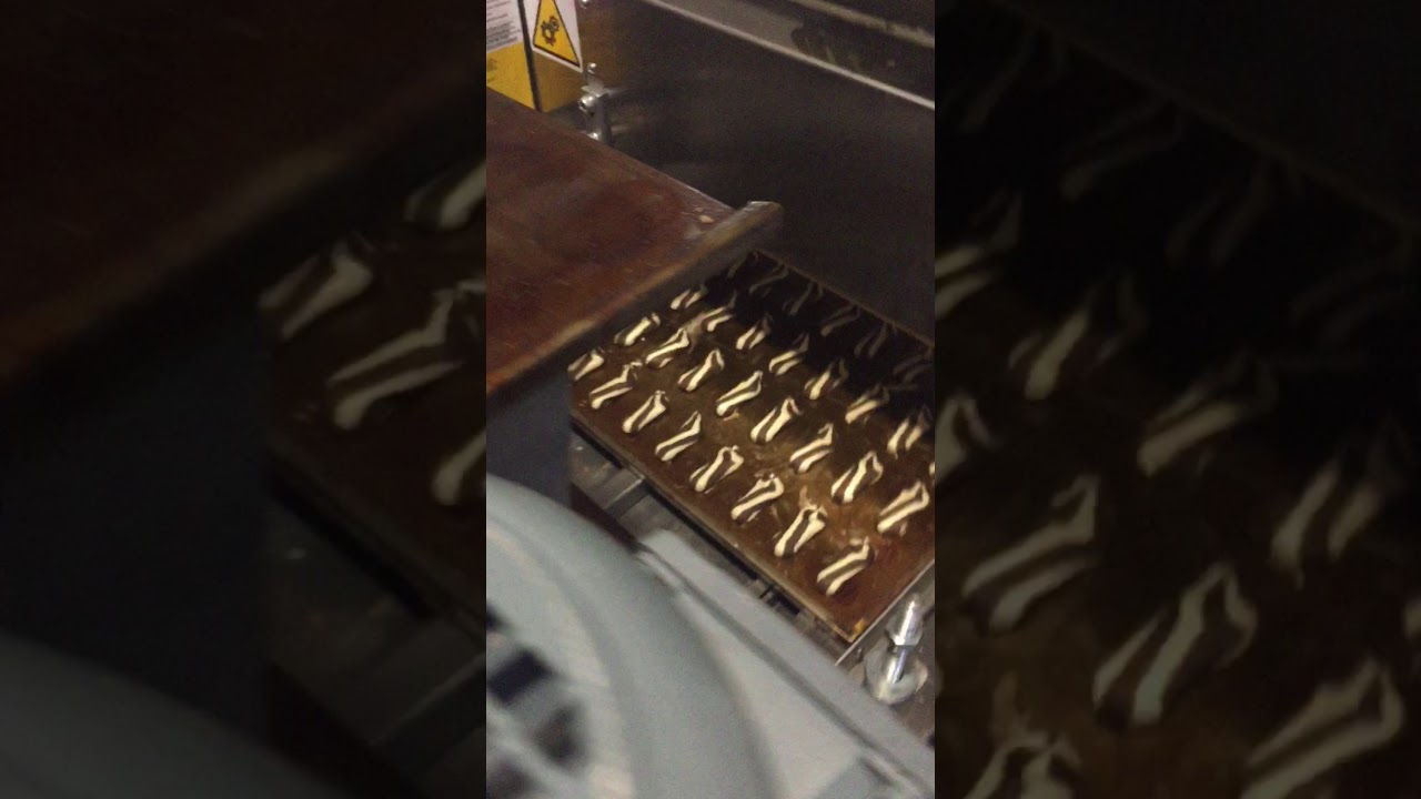 PASTA MAKINESI PASTRY MACHINE YouTube