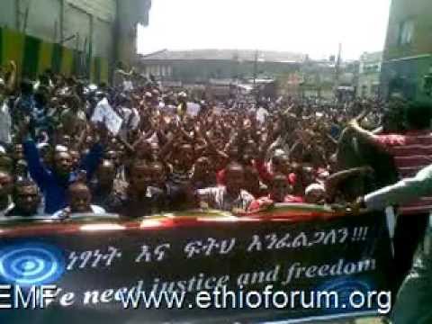 ቪዲዮ: የemf አንባቢ ምንድነው?