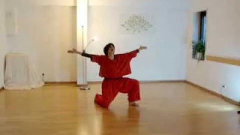 Anita Wagener - Shamanic Healing Movement Solo II