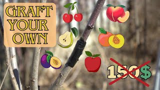 Graft your own combination fruit tree🍎🌱and save yourself over 100$