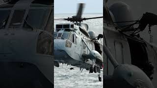 Germany will transfer Westland Sea King helicopters to Ukraine