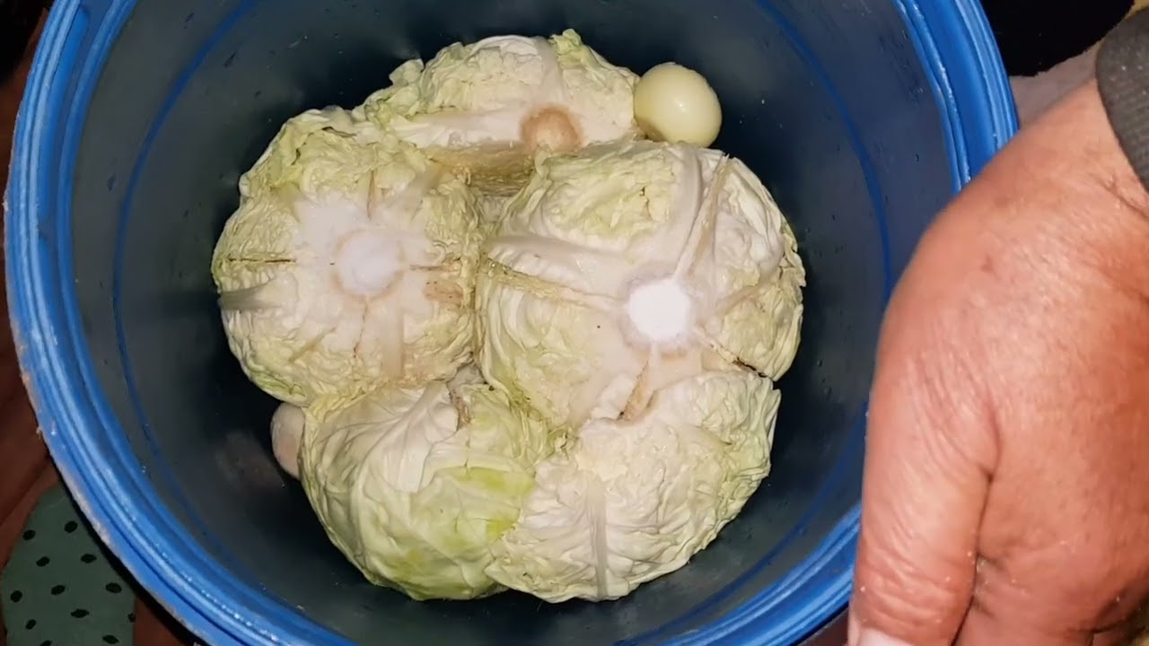 КИСЕЛО ЗЕЛЕ В МАЛЪК БИДОН