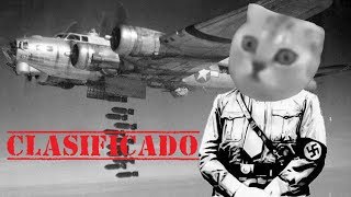 Information Gato recuerda su epoca en la guerra. Update