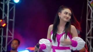 MANGU - JIHAN AUDY - LIVE NEW PALLAPA