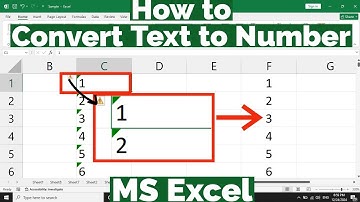 Come convertire il testo in numero in MS Excel | Come modificare il testo in numero in Excel | Te...