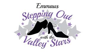 2017 Stepping Out With The Valley Stars Highlights