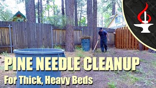 Easy Pine Needle Clean Up