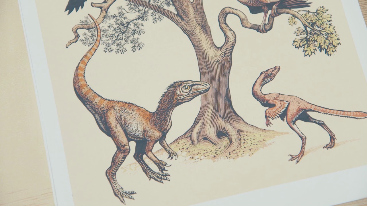 Drawing Dinosaurium with Chris Wormell, Part II