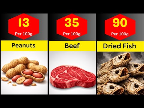 Highest Protein Foods In The World Comparison Video