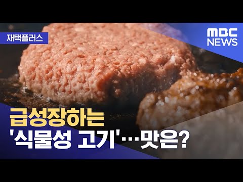 [재택플러스] 급성장하는 &rsquo;식물성 고기&rsquo;…맛은?(2021.07.30/뉴스투데이/MBC)
