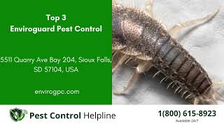 Top 3 Pest Control in Huron