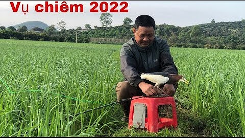 Buổi đầu nhập ngũ/ BẪY CÒ MÃ DI CƯ 3-3-2022