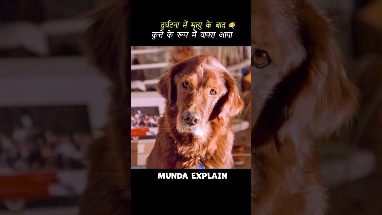 यह कुत्ता उसका मृत पति था। 😱 