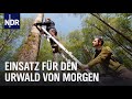 Ganz schön wild: Artenschutz im Norden | Die Nordreportage | NDR Doku