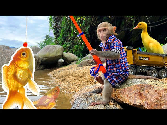 Smart Bim Bim helps dad fish for ducklings class=