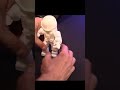 3D Printed Space Man #shorts