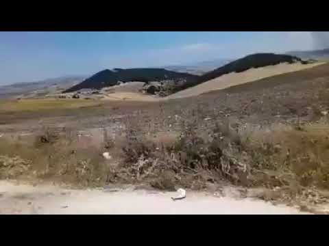 الغربة و يا الغربة 