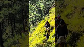 Kung May Unli Ahon May Unli Bangin Din Na Bundok.  #mountains #nature #reels #fyp #virals