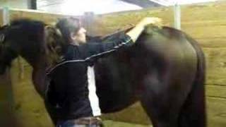 Briefly Brushing Slew