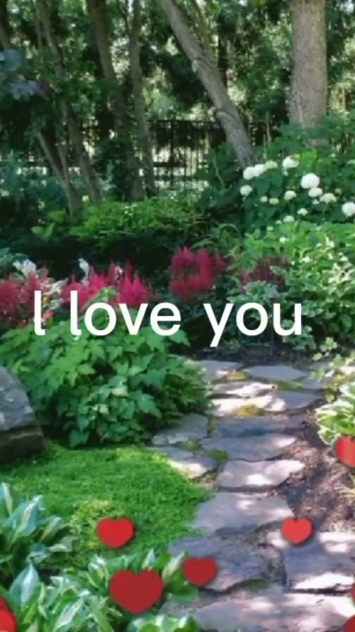 28 June 2023 YouTube 28 June 2023 YouTube