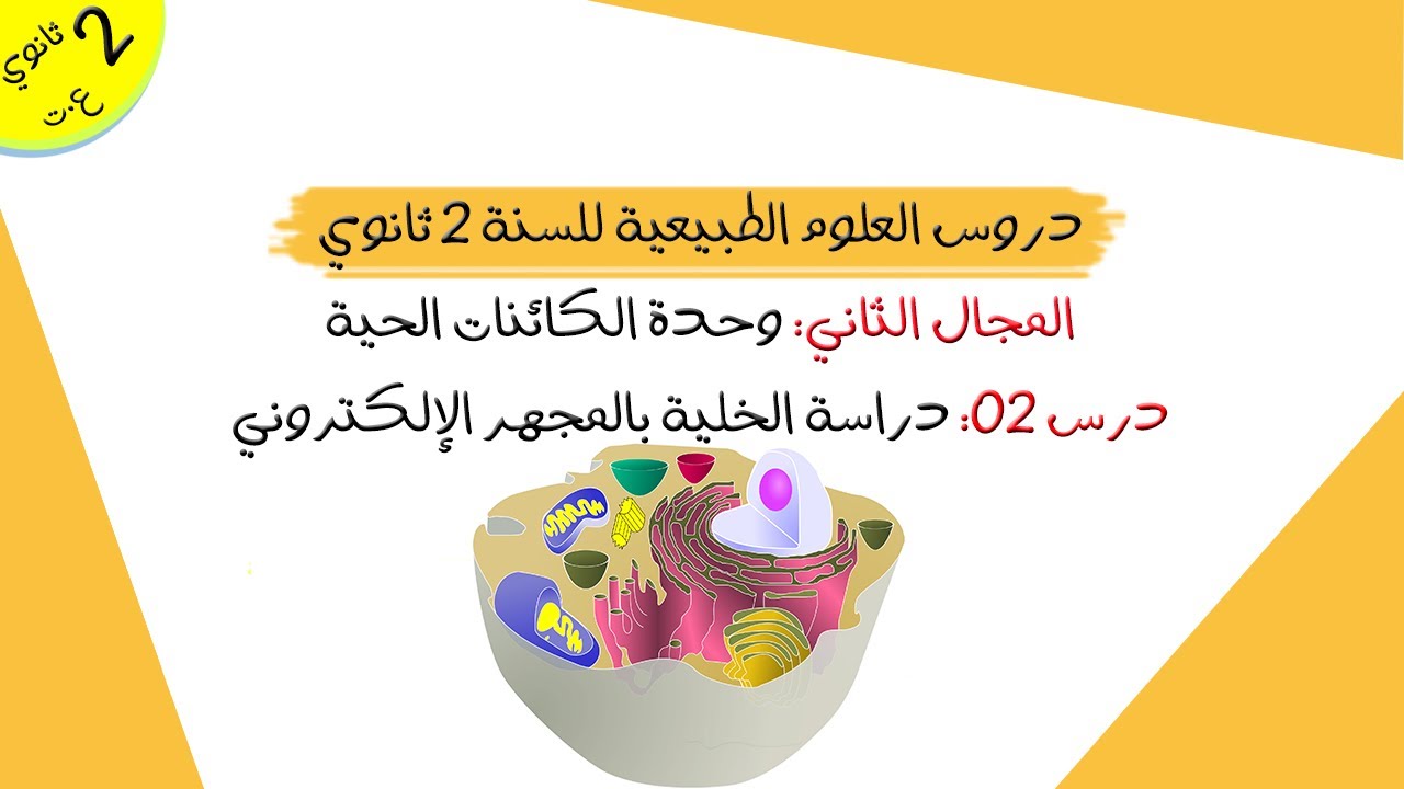 درس 02: دراسة الخلية بالمجهر الإلكتروني | ثانية ثانوي علوم تجريبية
