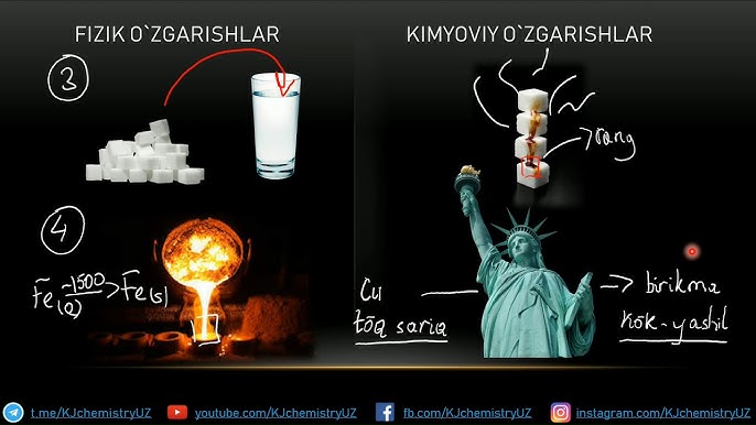 Hol mushuk va panties fotosurati