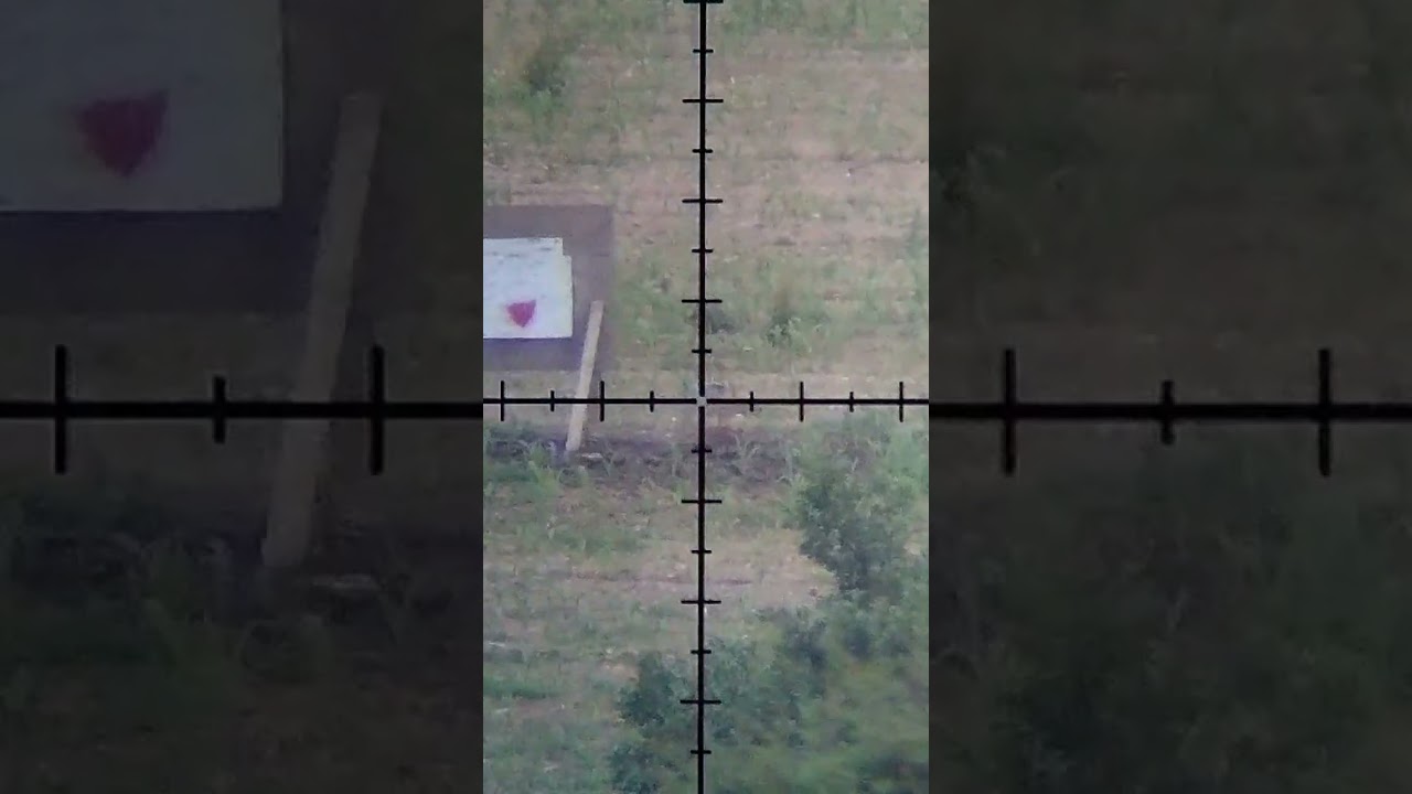 1000 yard steel fox head..