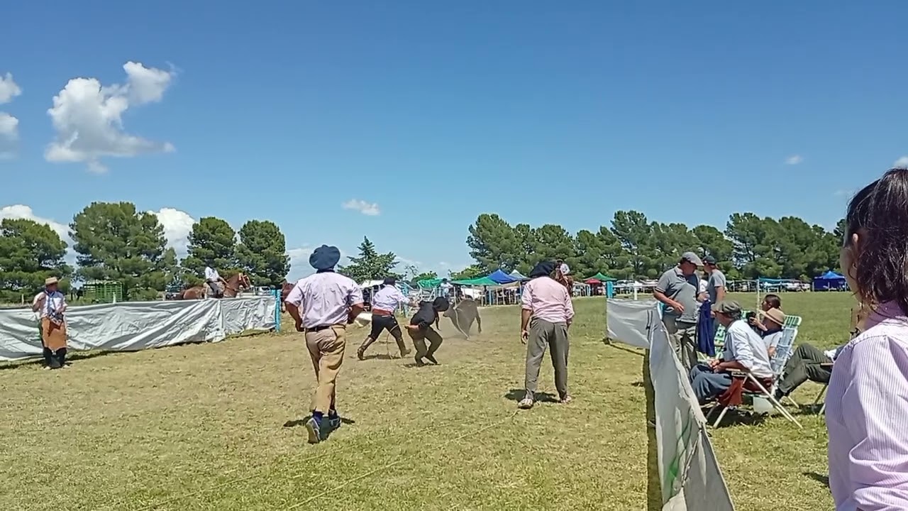 9 de noviembre de 2025