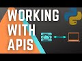 Working with apis in python  pagination and data extraction