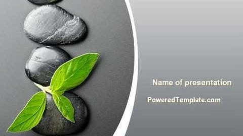 Stone Path With Green Plant PowerPoint Template by PoweredTemplate.com