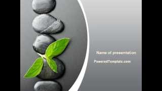 Detalles Stone Path With Green Plant PowerPoint Template by PoweredTemplate.com Guía