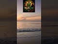LOVER ROCK REGGAE