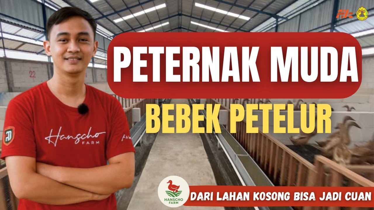 HANAN, MAHASISWA USM SUKSES TERNAK BEBEK PETELUR !