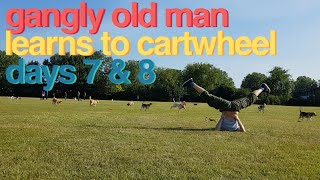 Gangly Old Man Learns to Cartwheel (Days 7 & 8)