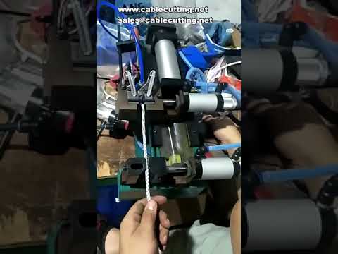 305-310-315-416 Gas Electric Peeling and Stripping Machine