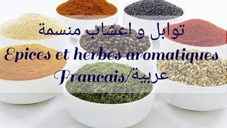 Nom des épices et herbes aromatiques أسماء التوابل و الاعشاب المنسمة بالفرنسية و العربية