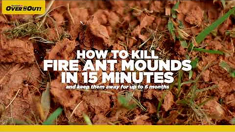 How to Use Over'n Out!® Advanced Fire Ant Killer - DayDayNews