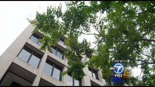 Paul Mannina, labor department lawyer, held without bond