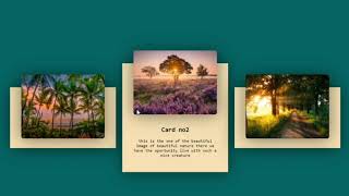 CSS Responsive Card Hover Effects | Html & CSS 2020