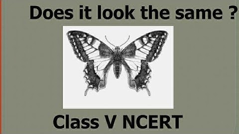 Does it look the same? Class 5 Ncert