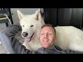 We have another update on Sashka -