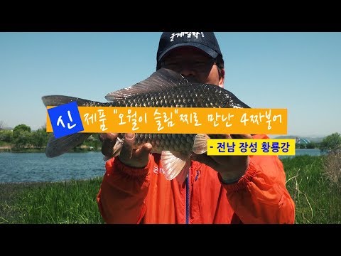 [자연지] 108.신제품 &amp;#39;오월이 슬림&amp;#39;찌로 만난 4짜붕어 - 전남 장성 황룡강(2019.5.3)