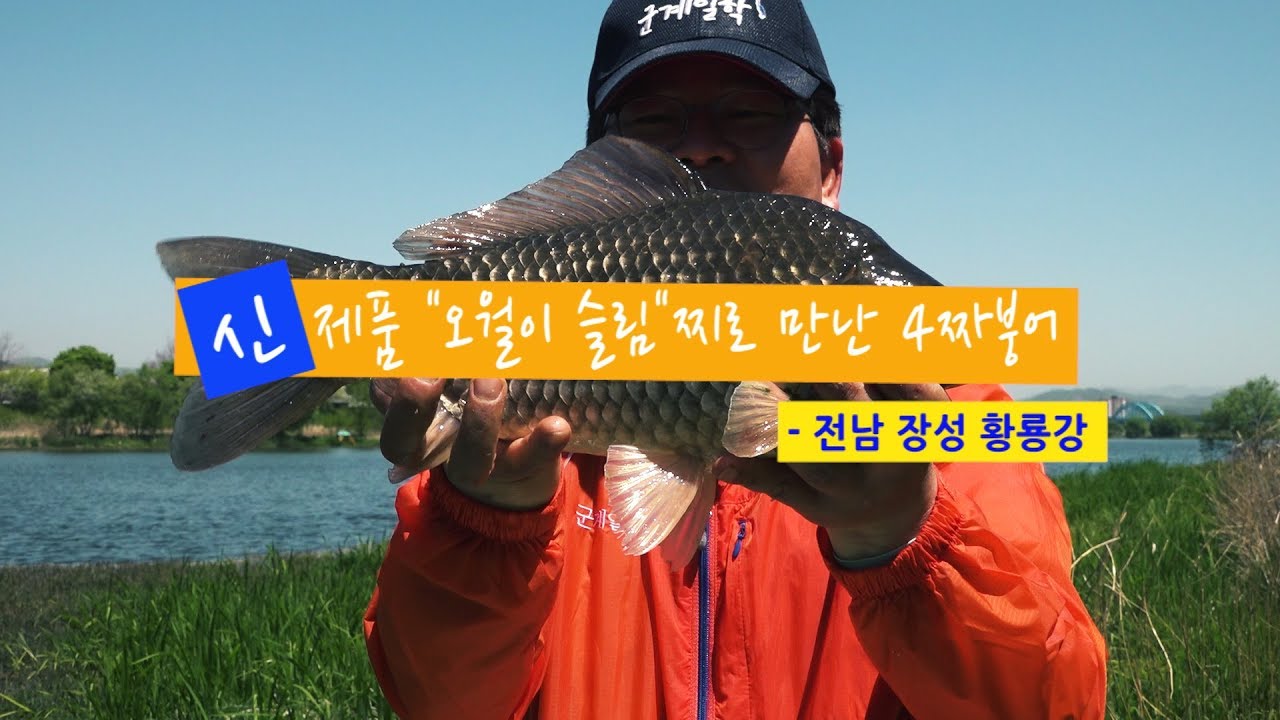 [자연지] 108.신제품 '오월이 슬림'찌로 만난 4짜붕어 - 전남 장성 황룡강(2019.5.3)