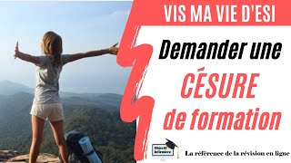 Comment Faire Une Césure De Formation ? Ifsi