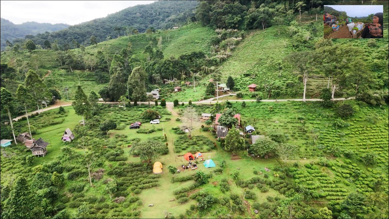 Kenapa Camping di Bale Marwind Sumedang? 📶 Sinyal Kuat + View Drone Aerial Keren!