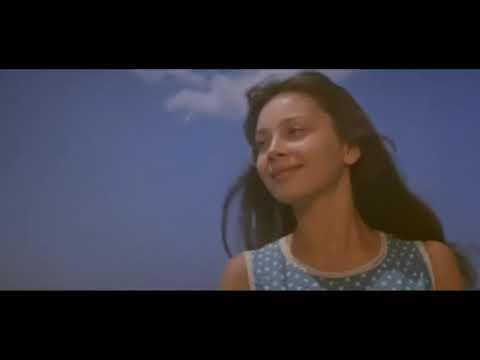 Девочка и дельфин - YouTube