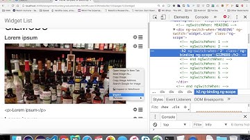 3.19 Embedding Images with AngularJS ng-src - undergrad webdev summer 1 2017