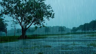 Fall Asleep Easily & Soundly with Heavy Storm Rain & Mighty Thunder on Stormy Day | Real Rain Sounds