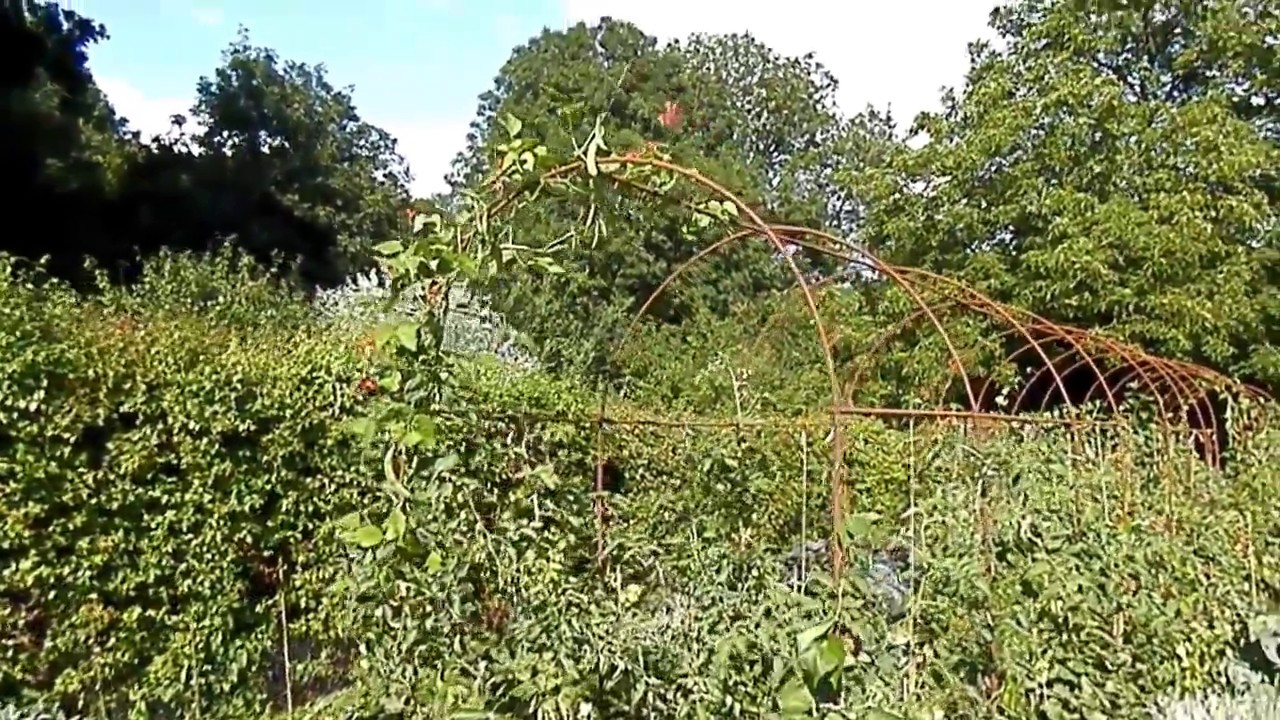Keutenberg, moestuin, impressie Ecotuin Keutenberg