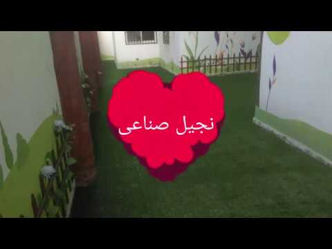 نجيل صناعى للحضانات حضانه يانج مسلم مدينه نصر